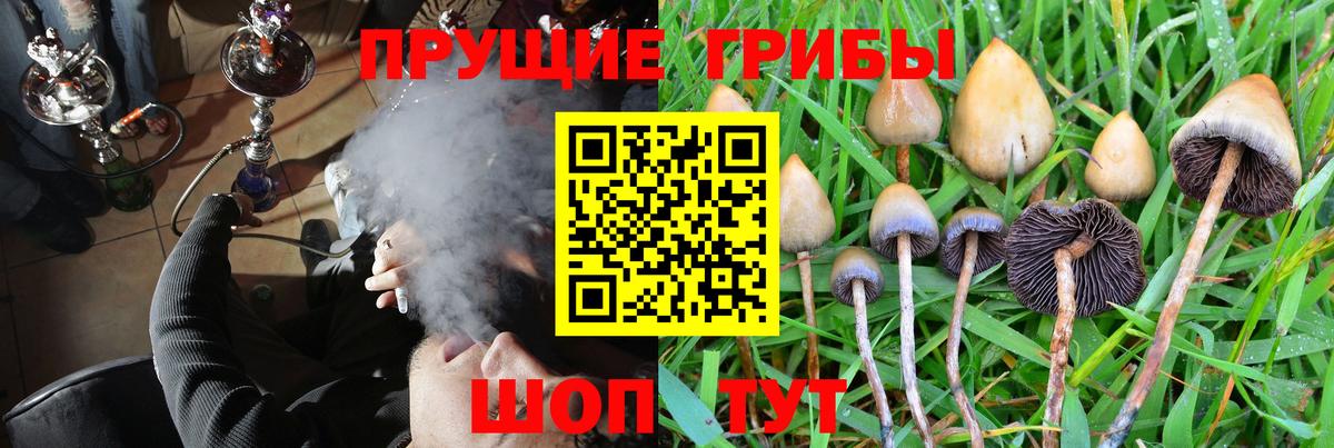 Егорьевск  Галлюциногенные грибы Magic Shrooms  Галлюциногенные грибы Psilocybe  Вход с VPN 